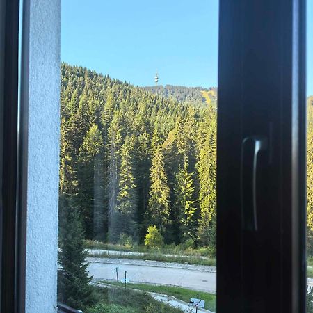 Тайната Квартира - The Secret Apartment Pamporovo Esterno foto